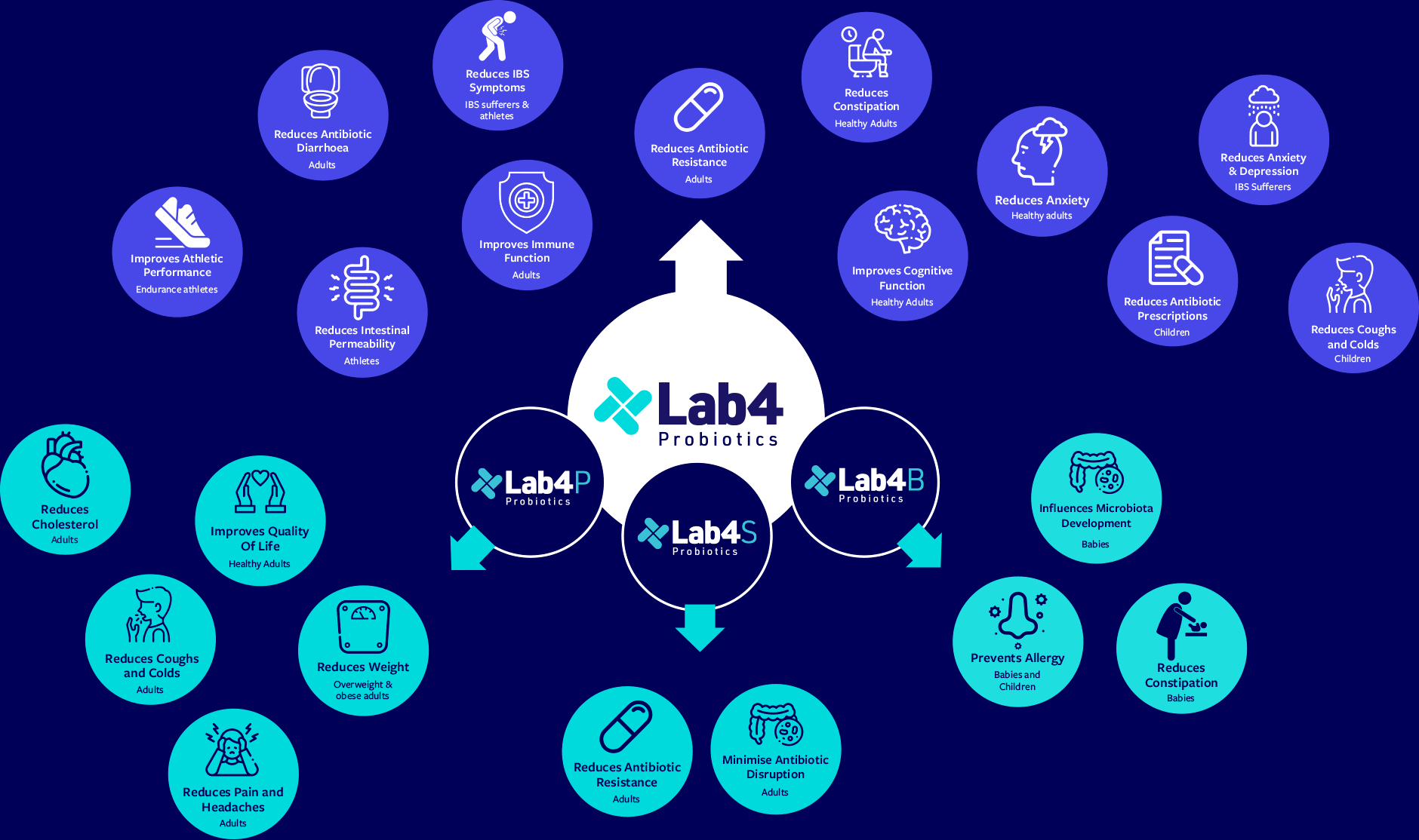 Diagram showing benefits of Lab4 Probiotics