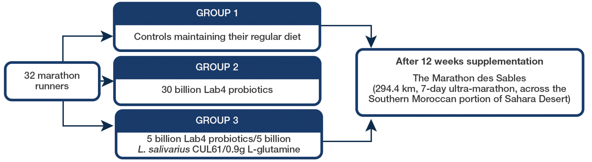 The Ultramarathon Endurance Study Lab4 Probiotics