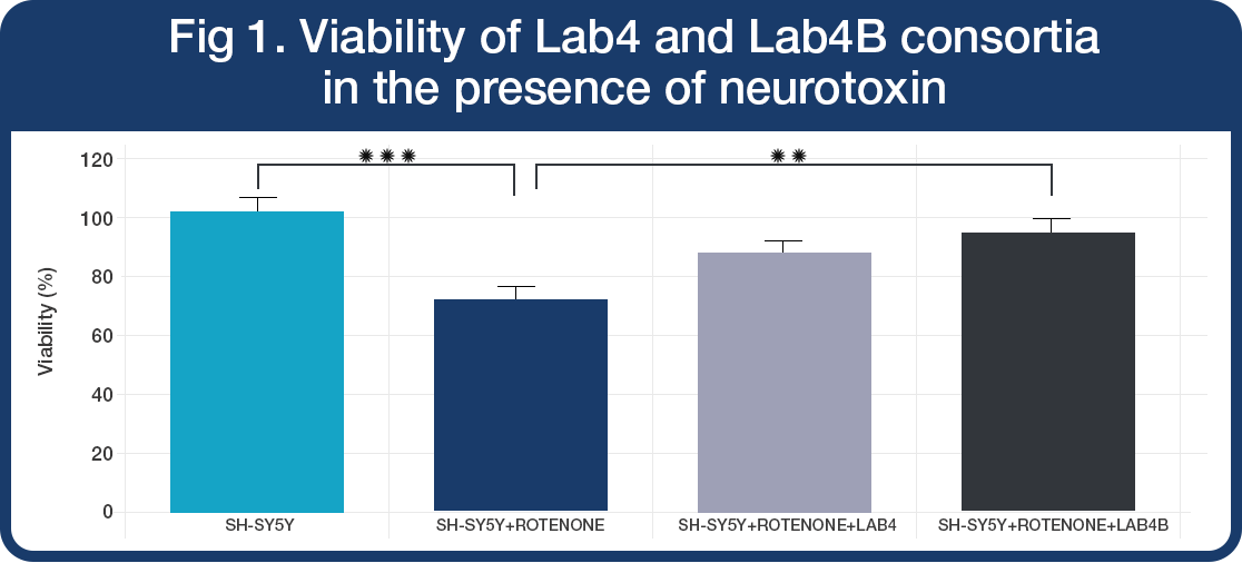 Neuroprotection-graph-1 The protective effect of Lab4 and Lab4B consortia