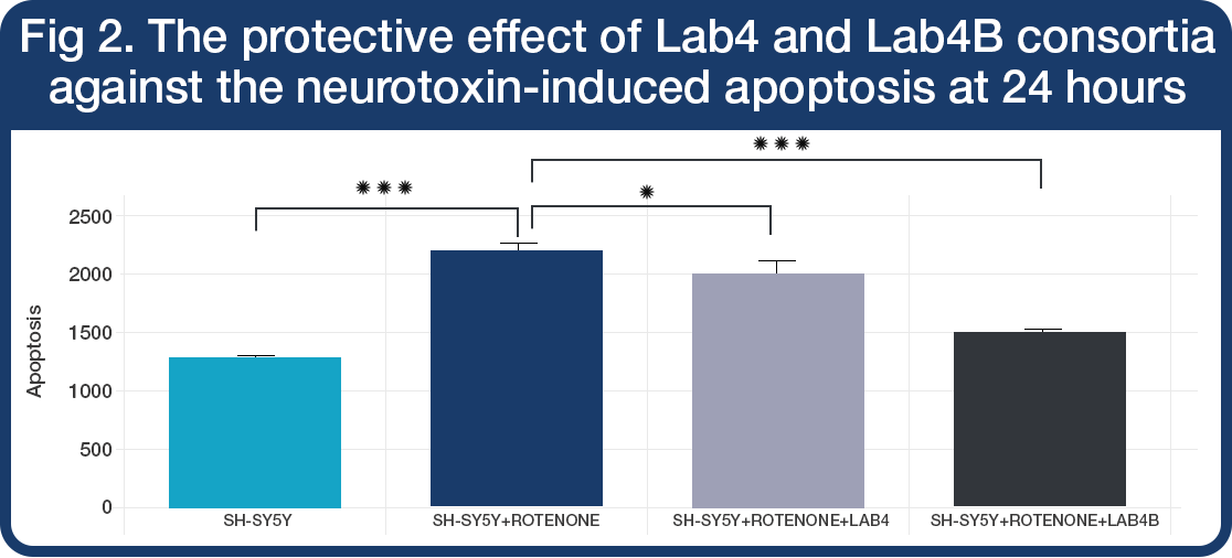 Neuroprotection-graph-2 The protective effect of Lab4 and Lab4B consortia
